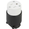 Female plug