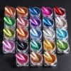 23 Color Demon Mirror Powder