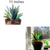 Green 11inches set