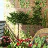 Green brick pattern