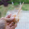 13to15cm