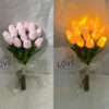 Light pink tulip