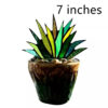Green 7inches