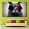 Cat with sunglasses