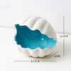 Shell mouthsea blue