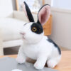 Squatting black rabbit