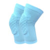 Blue Knee Pads