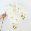 Autumn White