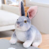 Squatting grey rabbit