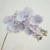 Blue And Purple