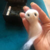 Contract Little Ghost