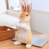Sitting brown rabbit