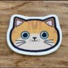 Orange Tabby Cat