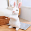Sitting white rabbit