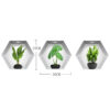 Hexagonal Window Pot Stickers