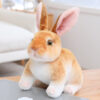 Squatting brown rabbit