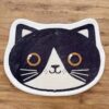 Dairy Cat